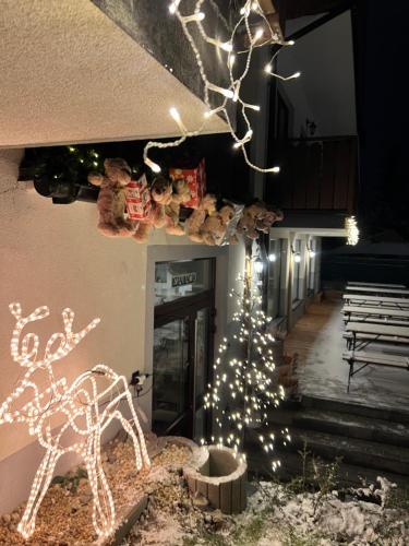 扎科帕内Hotel Nosal Ski & Wine的圣诞树和驯鹿及圣诞灯