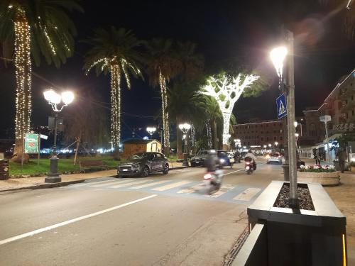 拉帕洛Sweet Lucy的夜间有汽车和棕榈树的城市街道