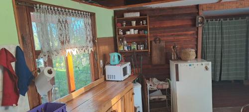 托尔胡因Cabaña Brisas del Lago的厨房配有白色微波炉和冰箱。