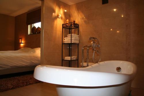 蒂米斯特尔欧莱雅阿美杜贝丹酒店的带浴缸和床的浴室