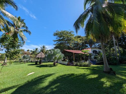 萨玛拉Paraiso Cocodrilo lodge - spirit of nature的棕榈树公园和房子