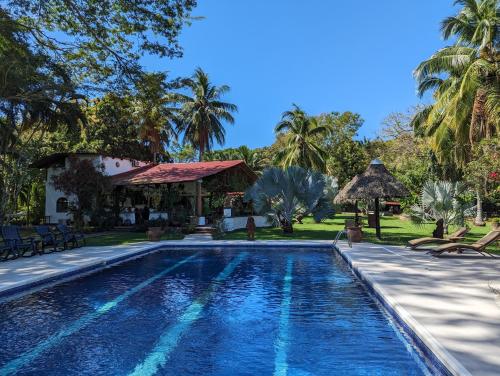 萨玛拉Paraiso Cocodrilo lodge - spirit of nature的棕榈树屋前的游泳池