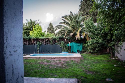 卢汉德库约un sueño para viajar的棕榈树庭院和游泳池
