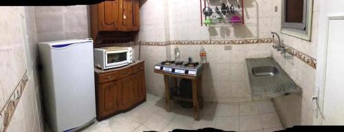 Buba apartment的小厨房配有冰箱和微波炉。