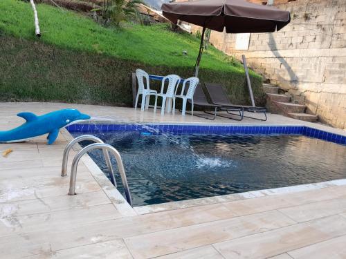 马卡埃Cantinho do sossego的一个带海豚、椅子和遮阳伞的游泳池