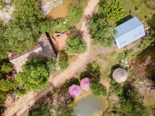 贡布Kampot Camping的享有池塘的粉红色花朵美景