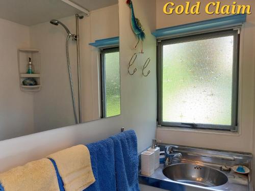CharlestonCharleston Goldfields Accommodation的窗户上带水槽和鸟的浴室