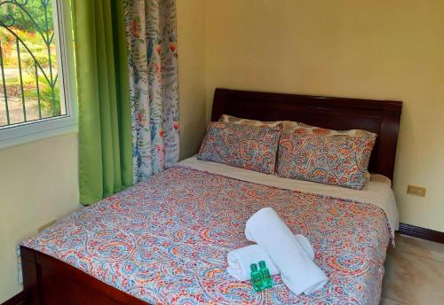 卡莫特斯群岛Camotes Serenity的一张带两条毛巾和两瓶水的床
