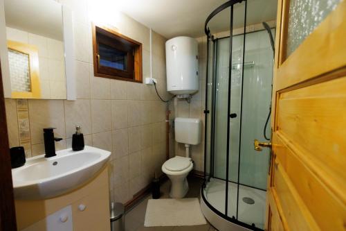托普利察Cabana Stînă的浴室配有卫生间、盥洗盆和淋浴。