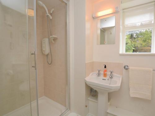Stoke Abbott2 Bed in Beaminster 63136的带淋浴和盥洗盆的浴室
