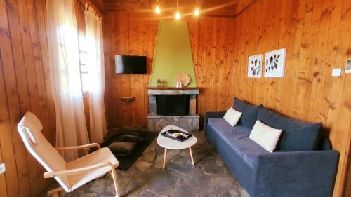 PappádhesEVIA FOREST VILLAGE的客厅设有蓝色的沙发和壁炉