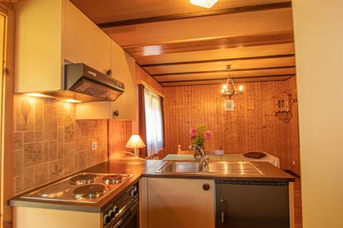 Saas-BalenResidenz Edelweiss SAAS311的厨房配有水槽和炉灶