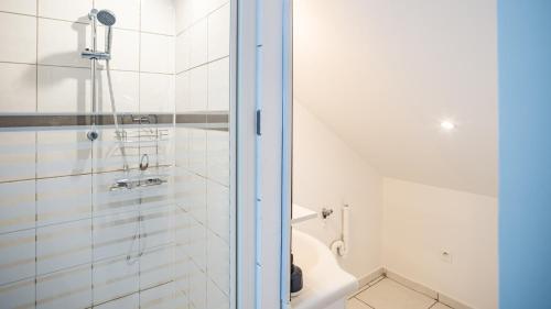 特鲁瓦Smart Confort 5 - Appartement confort et stylé的带淋浴和卫生间的浴室