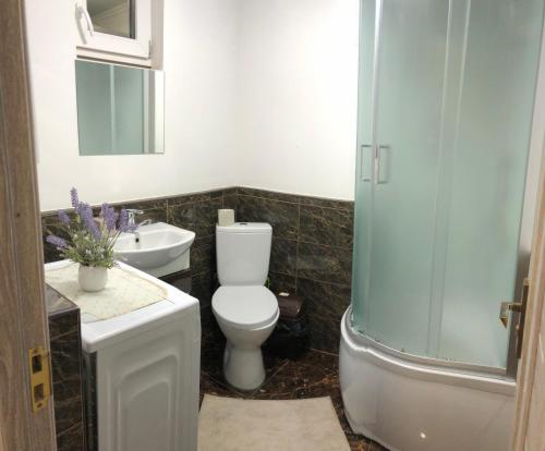 米日吉里亚Будинок з лазнею的浴室配有卫生间、盥洗盆和淋浴。