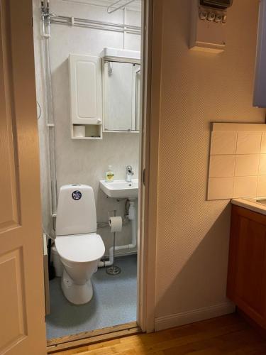 松兹瓦尔丽拉红特伦特酒店的一间带卫生间和水槽的浴室