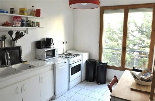 里昂Le Vendôme的一间带白色炉灶的厨房 窗边的顶部烤箱