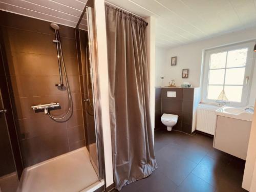 博恩Ferienhaus Ilva in Born的带淋浴和卫生间的浴室