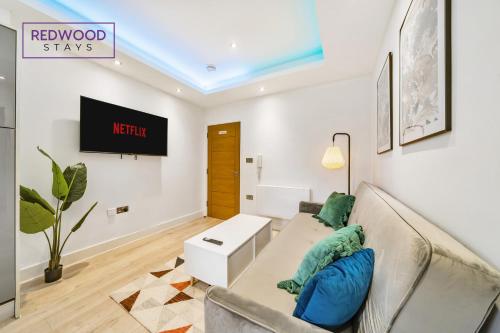 奥尔德肖特BRAND NEW, 1 Bed 1 Bath, Modern Town Center Apartment, FREE Parking, Netflix By REDWOOD STAYS的带沙发和电视的客厅