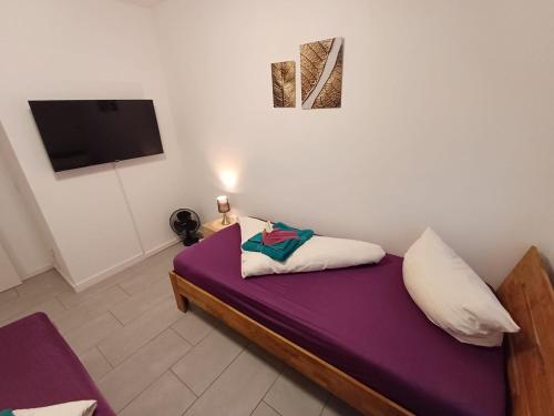 阿沙芬堡Apartment/Wohnung direkt in Aschaffenburg的一间卧室配有一张带紫色床单的床和一台电视。