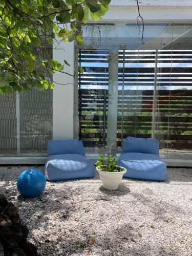 金巴兰New Kuta Suites的天井配有2个蓝色枕头和植物