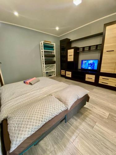 基辅Апартаменти на Поштовій площі的一间卧室配有一张床和一台平面电视