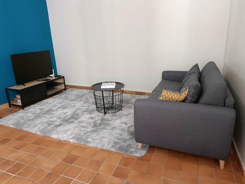洛什Magnifique appartement hyper centre de Loches的带沙发和电视的客厅