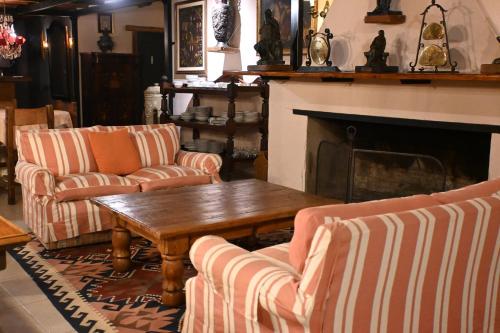 派桑杜Hotel La Castellana的带沙发、桌子和壁炉的客厅