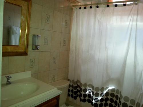 罗索科罗索尔公寓酒店的一间带水槽和淋浴帘的浴室