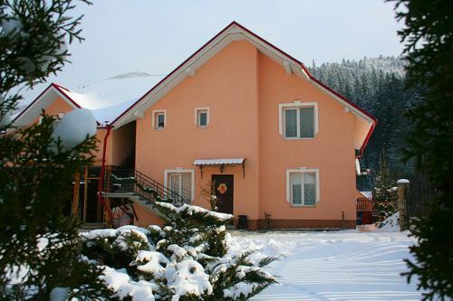 塔塔里夫Zoriana的一座橘色房子,地面上积雪