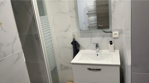 布鲁塞尔Calme, agréable et fonctionnel的白色的浴室设有水槽和镜子