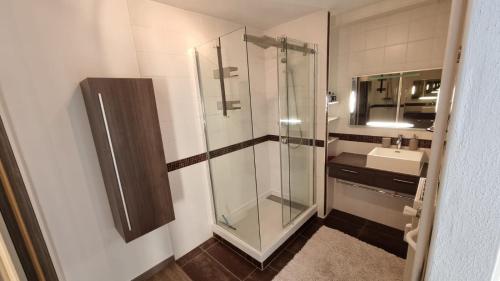 圣路易Dreamy Suite for Sunsetlovers的一间带玻璃淋浴和水槽的浴室