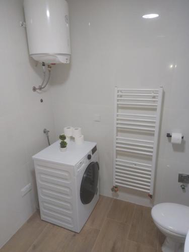 图兹拉Vikendica Tuzla, Dolina mira的一间带卫生间的浴室内的洗衣机