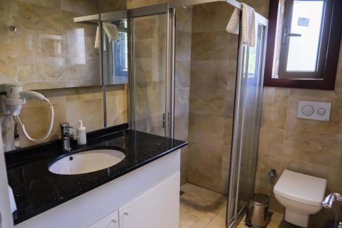 契拉勒Apella Hotel的一间带水槽和淋浴的浴室