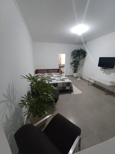 瓜鲁雅Ocker Pousada的带沙发和盆栽植物的客厅