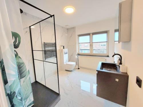 马斯特里赫特Studio Bink的一间带卫生间和水槽的浴室
