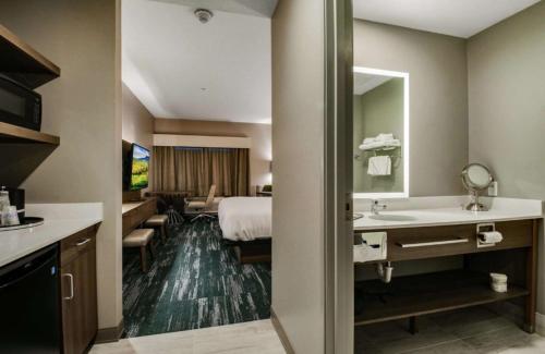 大急流城Best Western Plus Grand Rapids MN的一间酒店客房 - 带一张床和一间浴室