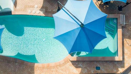 赫维湾赫维湾因哥尼亚假日公园的游泳池前的蓝伞