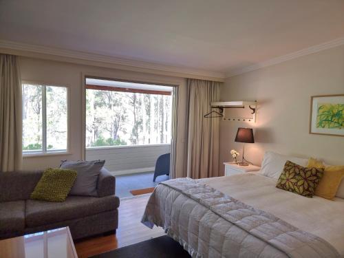 波高尔宾Elfin Hill Vineyard Accommodation的一间卧室配有一张床、一张沙发和一个窗口