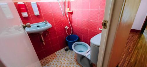 公主港OYO 1038 WILLIAM HEARTS PENSION的一间带卫生间和水槽的小浴室