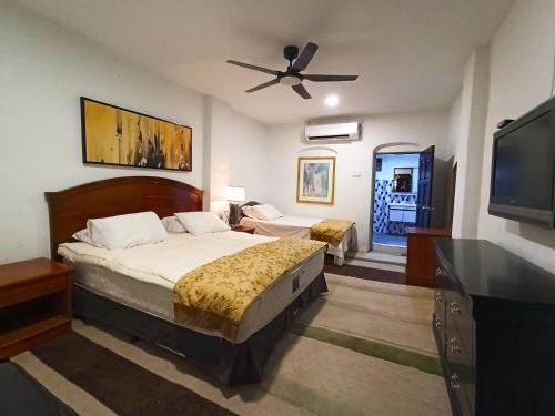 亚娄ARAU HERITAGE INN的一间卧室配有一张床和一台平面电视
