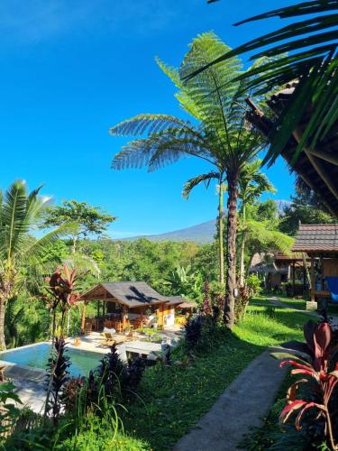 特特巴图特特巴图萨玛先马简易别墅的一个带游泳池和棕榈树的度假村