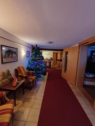 皮茨河谷圣莱昂哈德Hotel Restaurant Liesele Sonne的客厅中间的圣诞树
