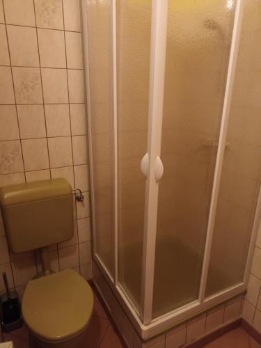 Katsch an der MurZimmer Kropfmoar的一间带卫生间和淋浴的浴室