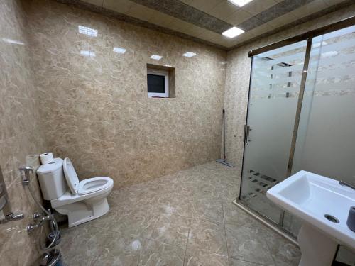 伊斯梅尔雷JLYN HOUSE的浴室配有卫生间、淋浴和盥洗盆。