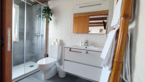 奥尔塔Porto Pim Guest House的浴室配有卫生间、盥洗盆和淋浴。