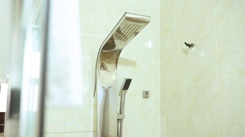 库马西ROYAL PARK HOTEL AND CHINESE RESTAURANT的带淋浴喷头的浴室