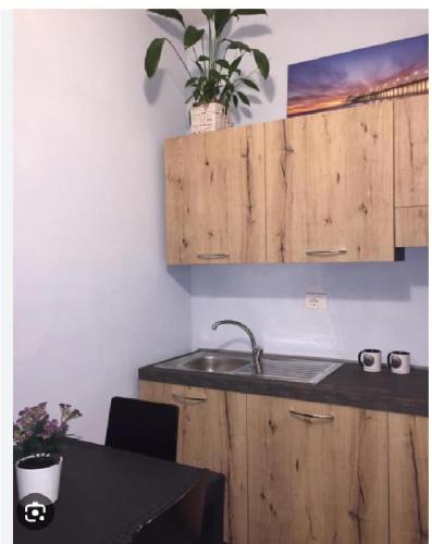 帕尔马monolocale d d的厨房配有水槽和植物桌子