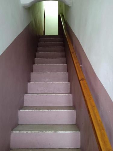 帕尔马monolocale d d的楼梯,有粉红色的台阶和楼梯栏杆