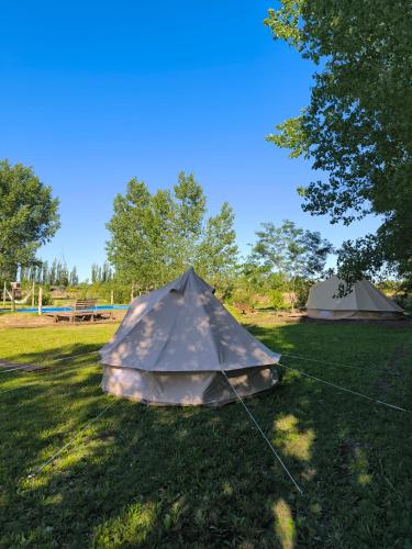 圣拉斐尔Vivac Camp的坐在草地上的帐篷