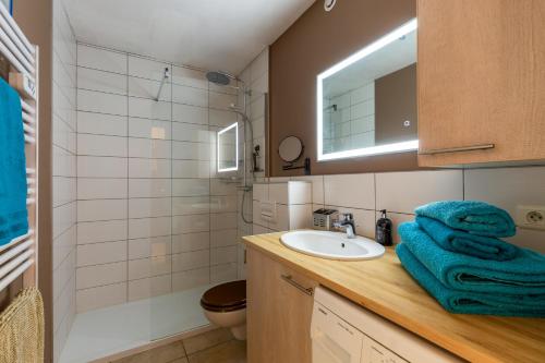 圣若里奥Appartement la tournette的一间带水槽、卫生间和镜子的浴室